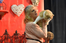 Katttenshow Arendonk 2020 DSC 0589