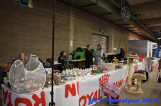Antwerpen 2019DSC 0154