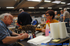 antwerp 2018 0466