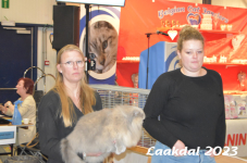 Laakdal 2023 173