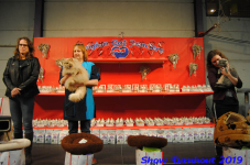 turnhout 2019-0101