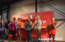 Laakdal 2023 372