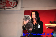 bcf antw 2010 199