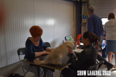 Show Laakdal 2022 0170