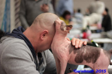 turnhout20150220