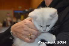 Arendonk 2024 061