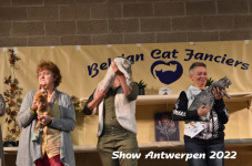 Antwerp 2022344