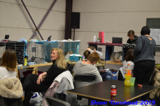 turnhout 2019-0300