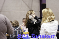  bcf ant 201159
