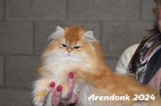 Arendonk 2024 437