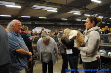 antwerp 2018 0234