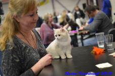 turnhout 2019-0407