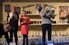 Antwerpen 2019DSC 0206