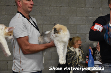 Antwerp 2022159