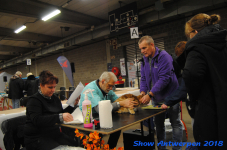 antwerp 2018 0037