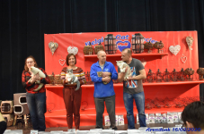 Katttenshow Arendonk 2020 DSC 0555