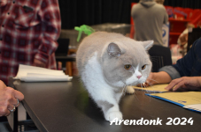 Arendonk 2024 294