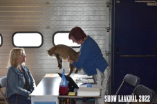 Show Laakdal 2022 0152