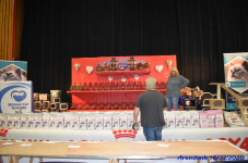 Katttenshow Arendonk 2020 DSC 0006