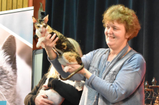 Katttenshow Arendonk 2020 DSC 0635