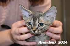 Arendonk 2024 144
