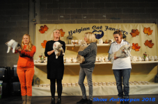 antwerp 2018 0116
