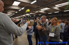 Antwerpen 2019DSC 0360