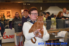 Antwerpen 2019DSC 0382