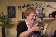 Antwerpen 2019DSC 0467