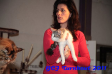 bcf antw 2010 258