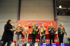 turnhout 2019-0182