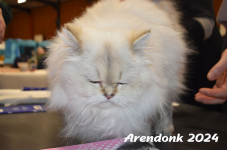 Arendonk 2024 051