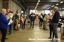 Antwerp 2022194