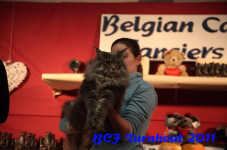 bcf antw 2010 197