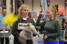 turnhout 2019-0384