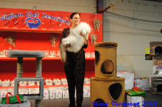 turnhout 2019-0107