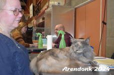 Arendonk 2024 286
