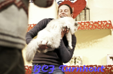  bcf ant 2011118