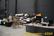 Antwerpen 082