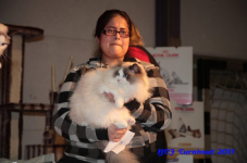 bcf antw 2010 219