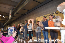 Schow Antwerpen 2023 362