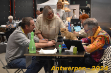 Antwerpen 247