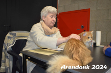 Arendonk 2024 291