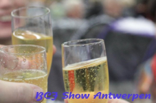 antwerpen 2012 152