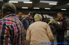 antwerp 2018 0204