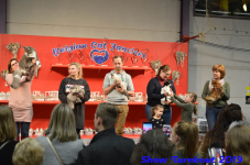 turnhout 2019-0404