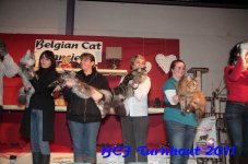 bcf antw 2010 261