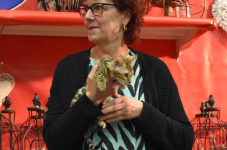 Katttenshow Arendonk 2020 DSC 0438
