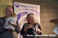 Schow Antwerpen 2023 431