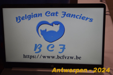 Antwerpen 162